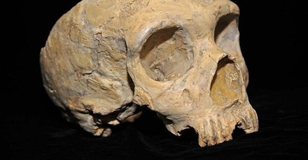 Еслибы череп не был наполнен жидкостью, мозг раздавил бы сам себя силой собственного веса Еслибы череп не был наполнен жидкостью, мозг раздавил бы сам себя силой собственного веса