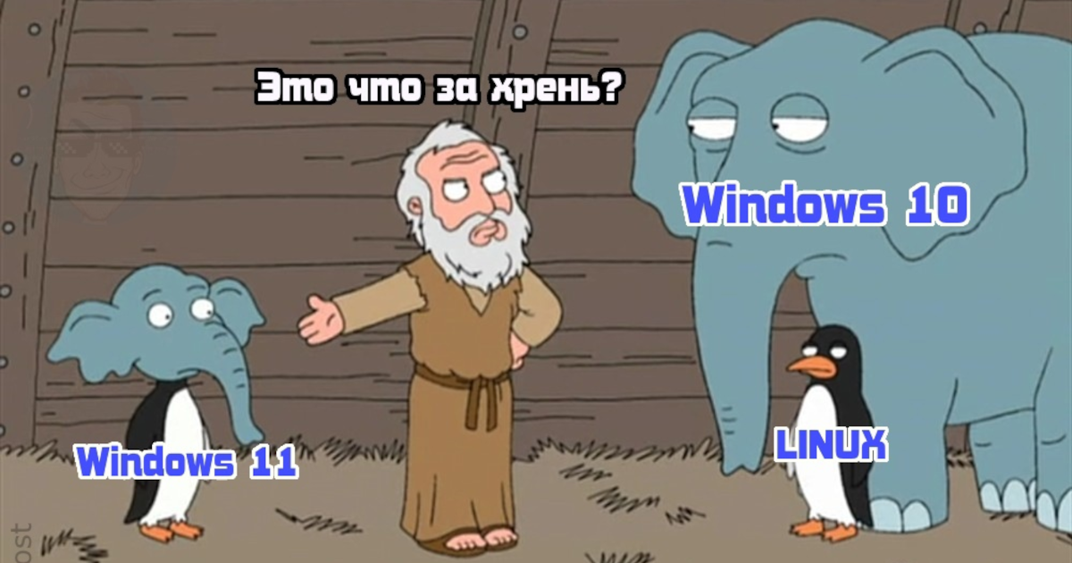 Windows 11: реакция соцсетей на новую операционку