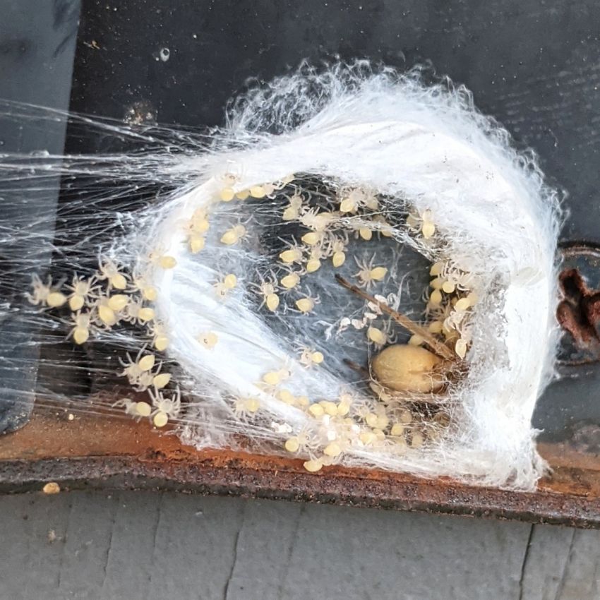 Бывают в жизни огорчения