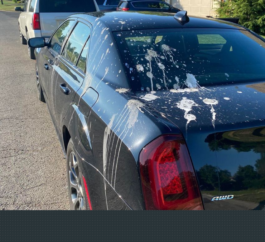 Бывают в жизни огорчения