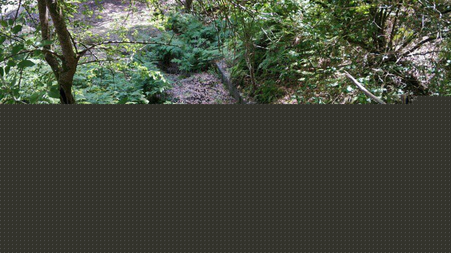 Страна раздолбаев. Вернулся из Абхазии, делюсь впечатлением