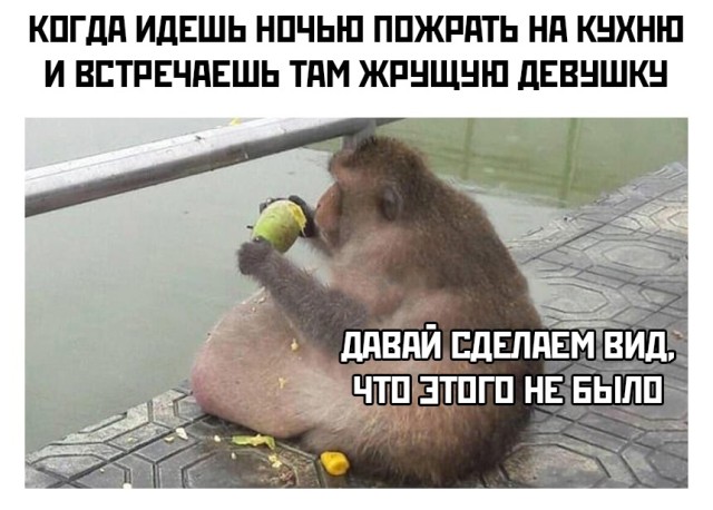 Смешные картинки 5 июля 2021