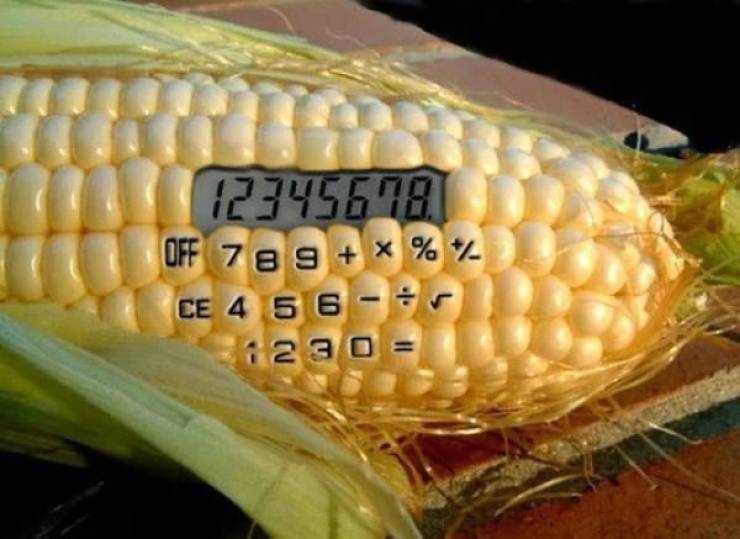 Смешные картинки 7 июля 2021