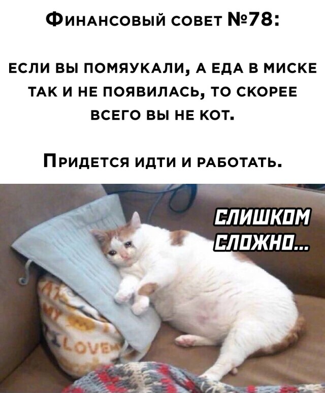 Смешные картинки 8 июля 2021