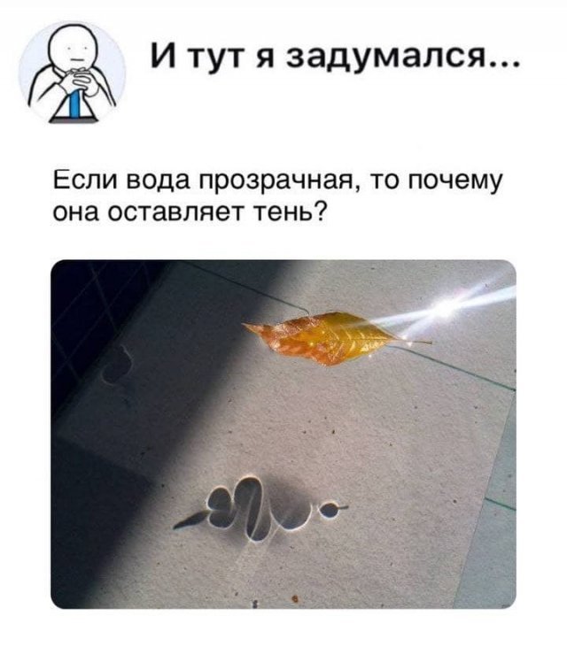 Забавные философские шутки, мысли и рассуждения