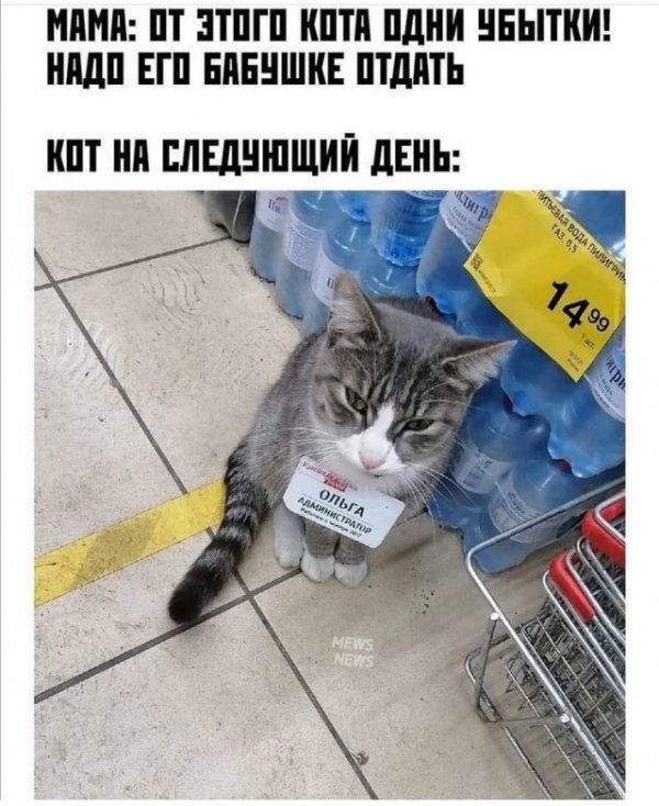 Так себе картинки