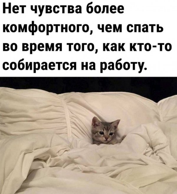 Так себе картинки