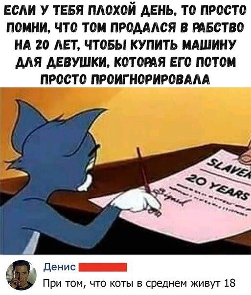 Так себе картинки