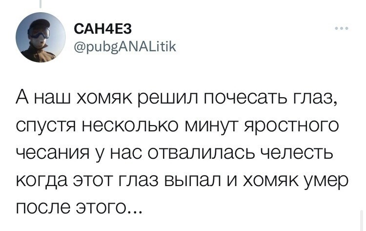 Хомяки и конкурс на самую нелепую смерть: в Твиттере поделились рассказами о домашних питомцах Хомяки и конкурс на самую нелепую смерть: в Твиттере поделились рассказами о домашних питомцах