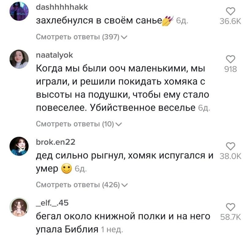 Хомяки и конкурс на самую нелепую смерть: в Твиттере поделились рассказами о домашних питомцах Хомяки и конкурс на самую нелепую смерть: в Твиттере поделились рассказами о домашних питомцах