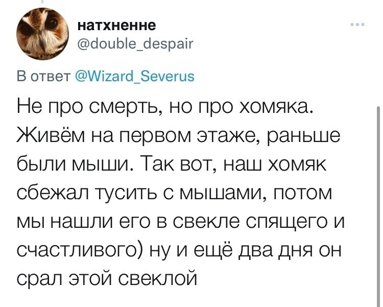 Но есть и счастливые истории про хомяков Но есть и счастливые истории про хомяков