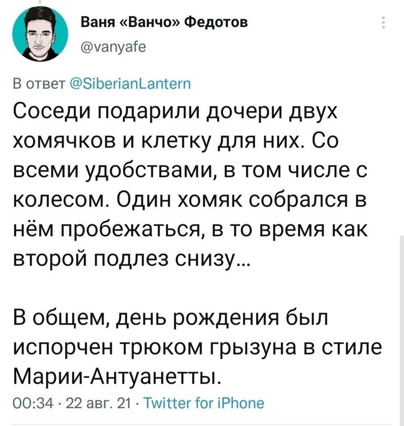 Хомяки и конкурс на самую нелепую смерть: в Твиттере поделились рассказами о домашних питомцах Хомяки и конкурс на самую нелепую смерть: в Твиттере поделились рассказами о домашних питомцах