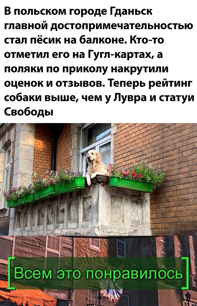 Смешные картинки вечер 8 сентября 2021 года