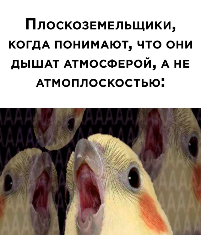 Смешные картинки вечер 8 сентября 2021 года