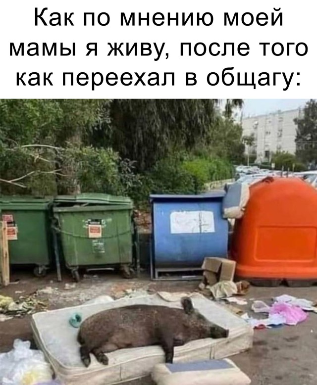 Смешные картинки 10 сентября 2021 года