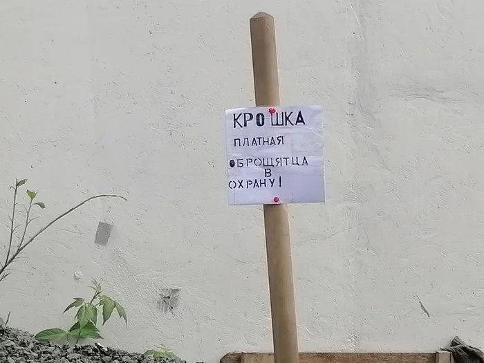 Жудкие потроебители и чье-те про те же