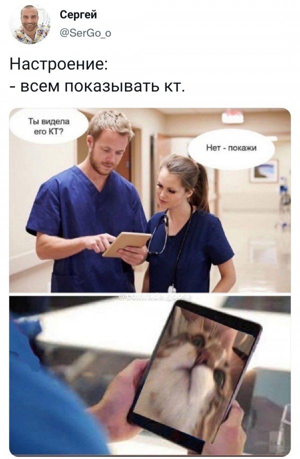 Баянисто-небаянистый юмор