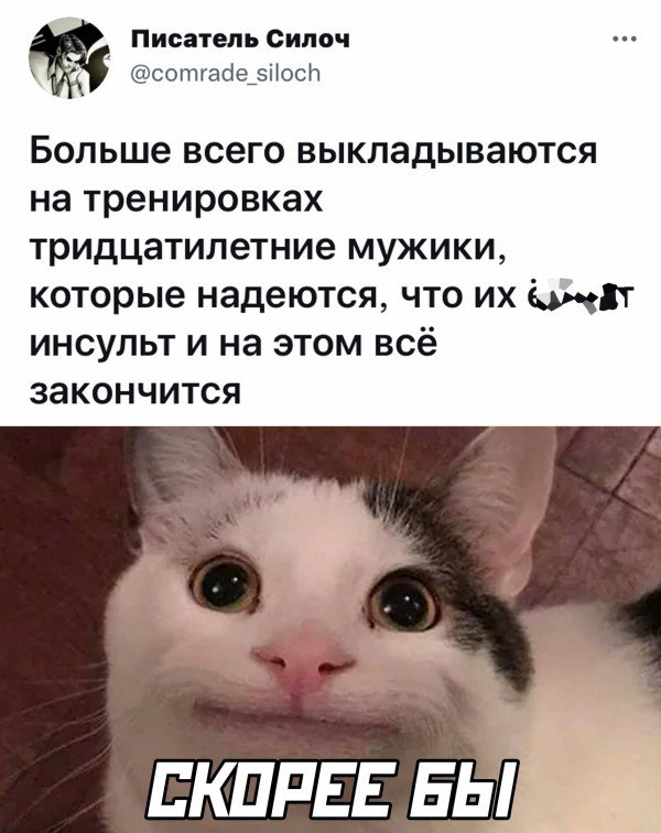 Баянисто-небаянистый юмор