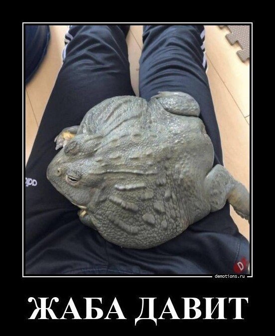 Баянисто-небаянистый юмор