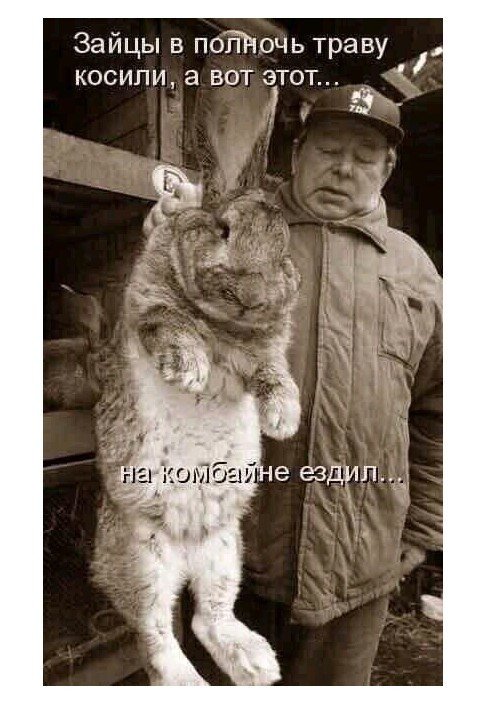 Баянисто-небаянистый юмор