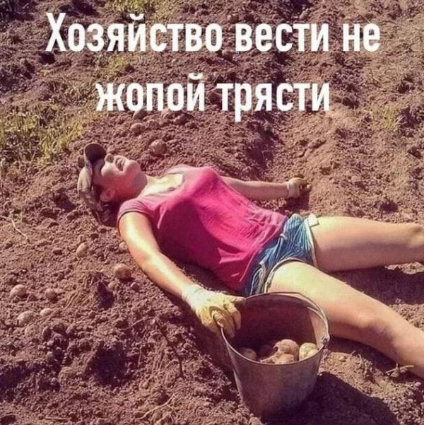 Баянисто-небаянистый юмор