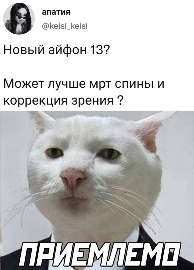 Смешные картинки 15 сентября 2021 года