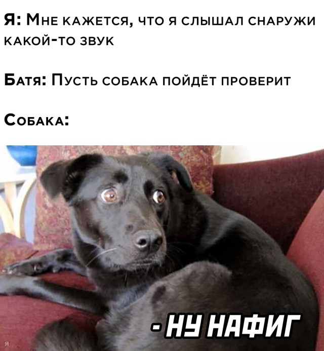 Смешные картинки 15 сентября 2021 года