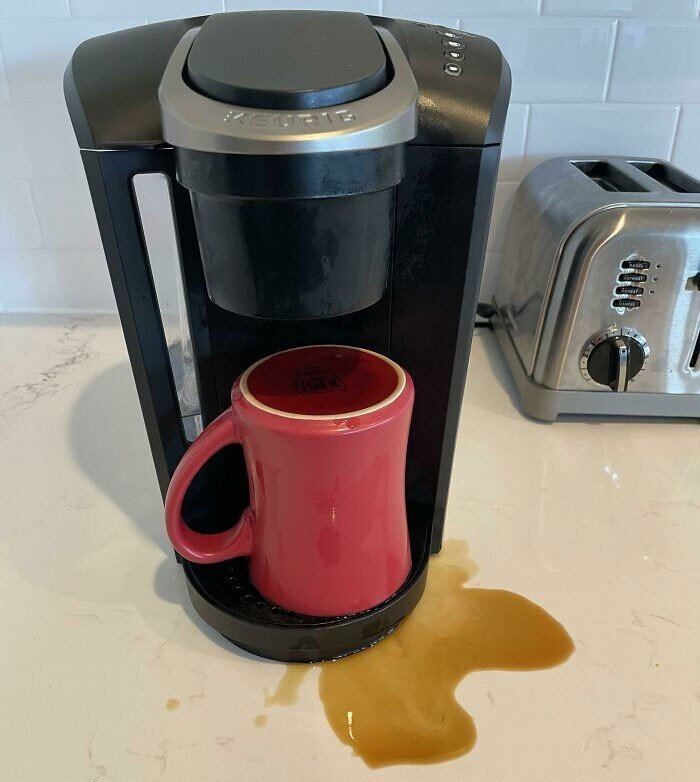 30 горе-кулинаров, чьи надежды на успех не оправдались 30 горе-кулинаров, чьи надежды на успех не оправдались