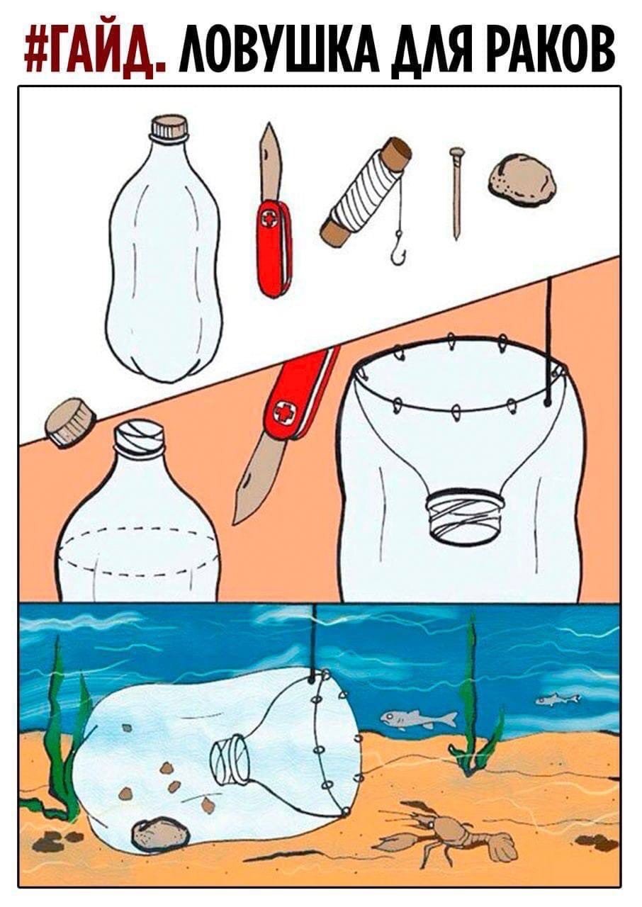 20 жизненных подсказок-шпаргалок, которые сделают вас эрудитом