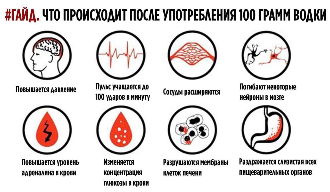 20 жизненных подсказок-шпаргалок, которые сделают вас эрудитом