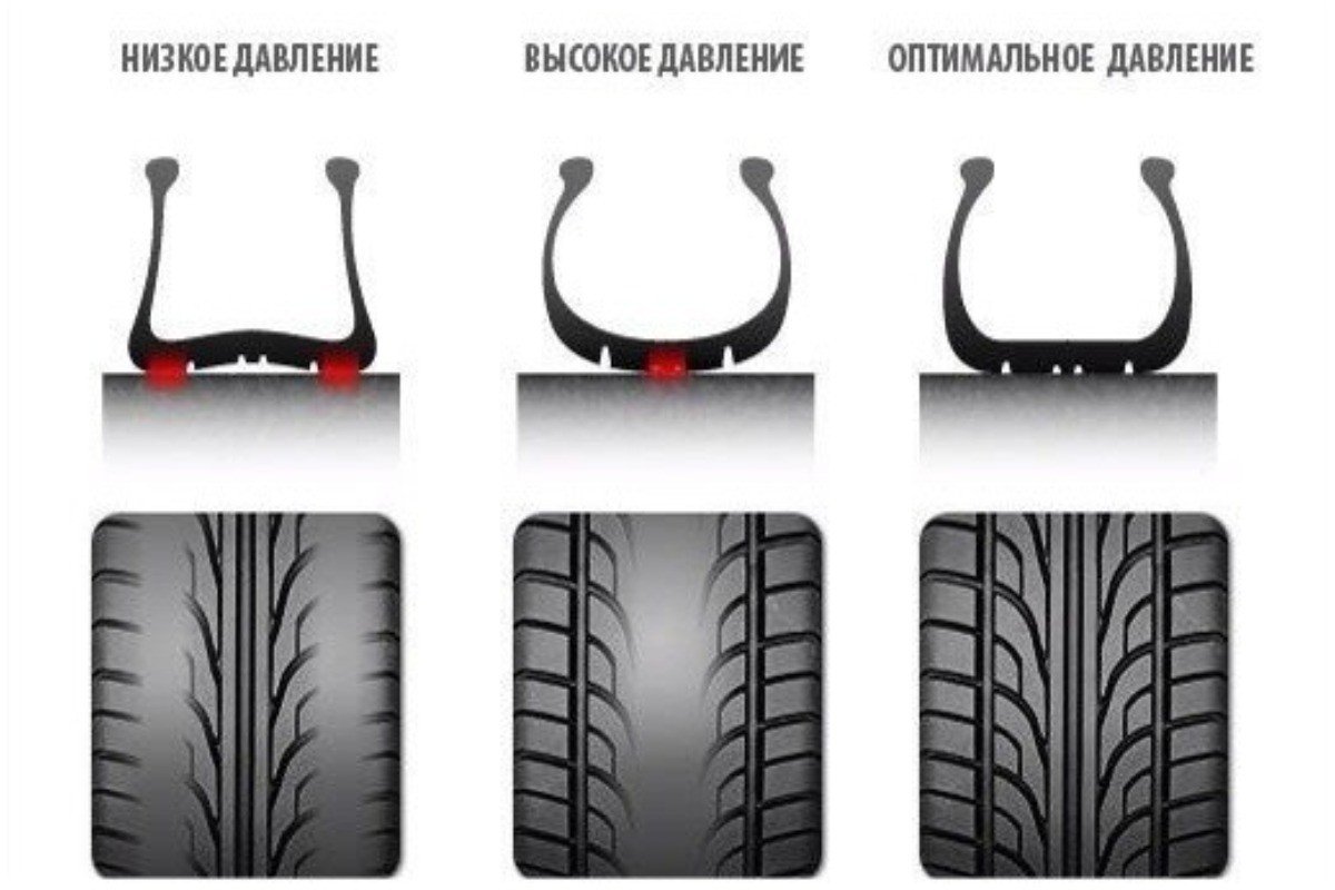 20 жизненных подсказок-шпаргалок, которые сделают вас эрудитом