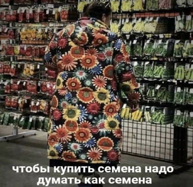 Шутки и мемы из Сети