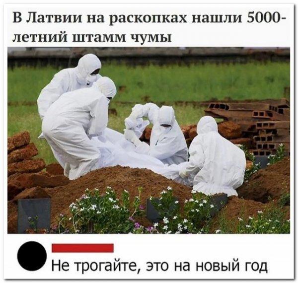 Забавные комментарии из социальных сетей
