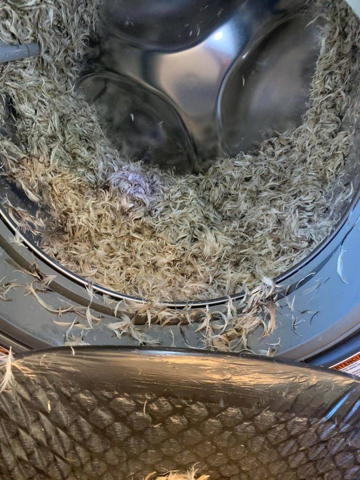 Смешные картинки вечер 23 сентября 2021 года