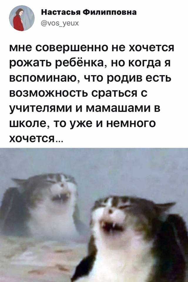 Смешные картинки вечер 23 сентября 2021 года