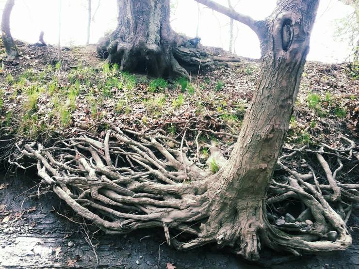 Смешные картинки вечер 23 сентября 2021 года