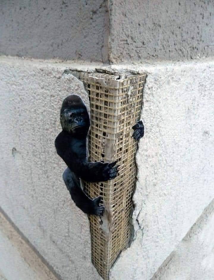 Смешные картинки вечер 24 сентября 2021 года