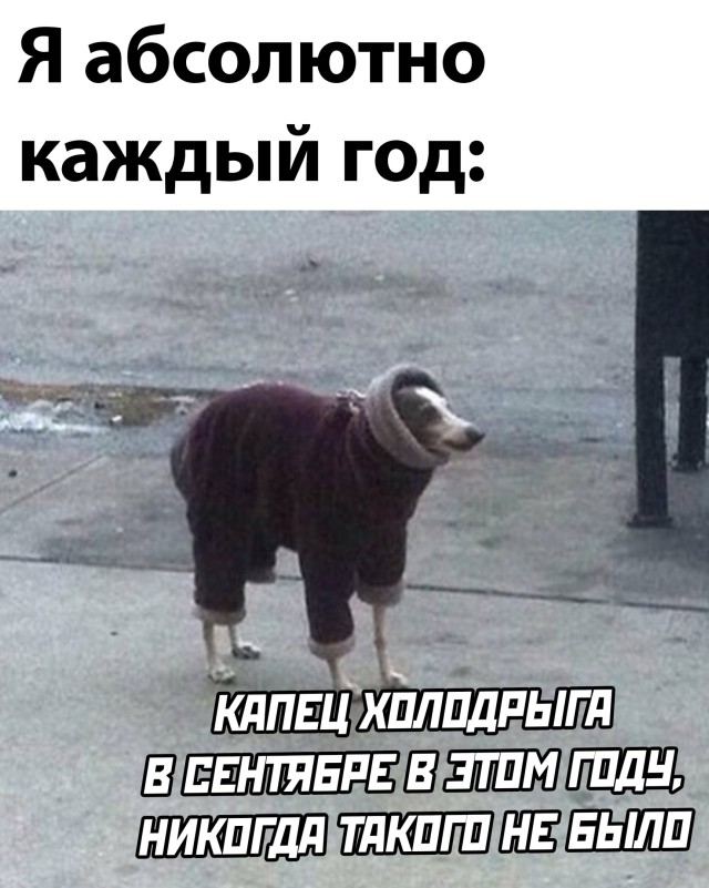 Смешные картинки вечер 24 сентября 2021 года