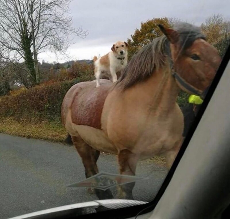 Наша реальность точно сломана полностью и этот пост тому полное подтверждение