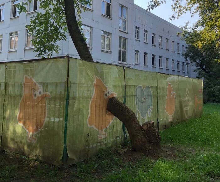 Наша реальность точно сломана полностью и этот пост тому полное подтверждение