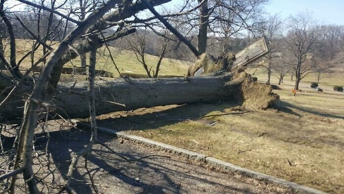 40 лучших фотографий из сообщества Creepy, леденящих кровь 40 лучших фотографий из сообщества Creepy, леденящих кровь