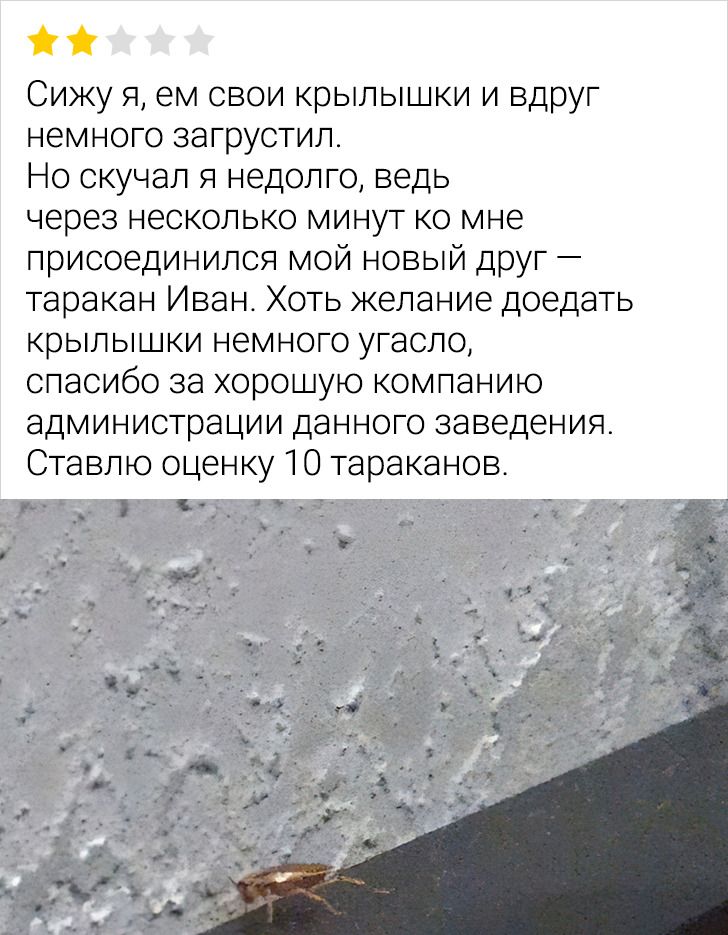 15+ отзывов от пользователей сети, которые впору пересказывать как анекдот