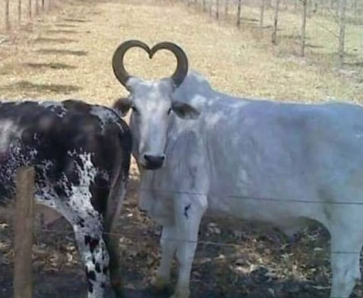 Смешные картинки 30 сентября 2021 года