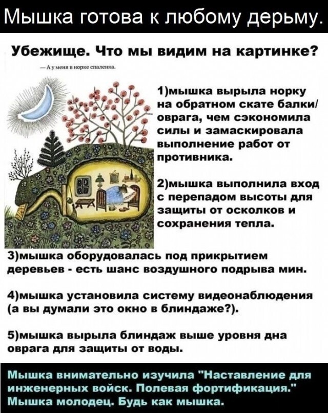 Так себе картинки в чёрно-белых тонах
