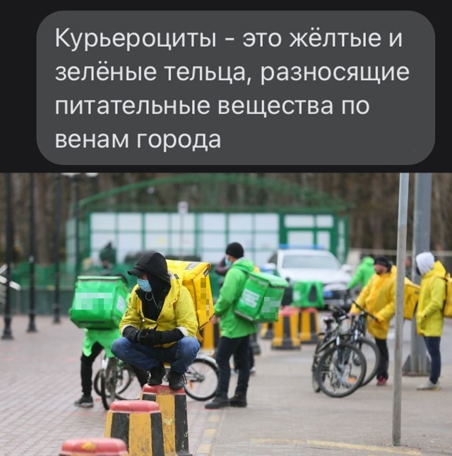 Смешные картинки 4 октября 2021 года