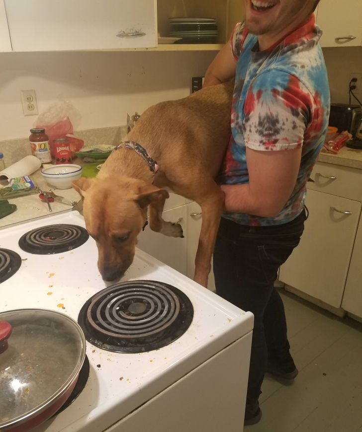 20+ доказательств того, что семейная жизнь — это всегда сектор «Приз» на барабане