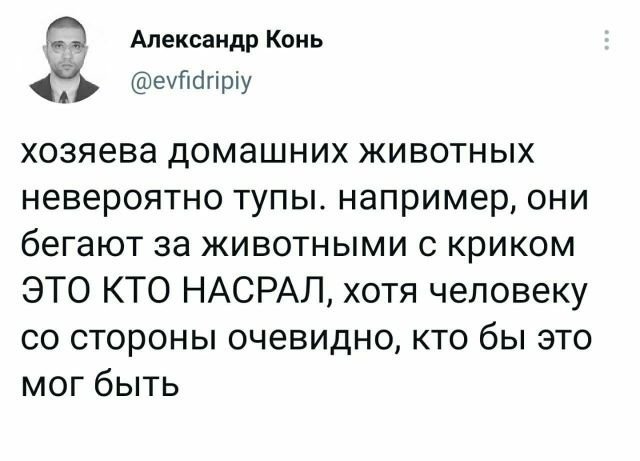 Подборка забавных твитов обо всем