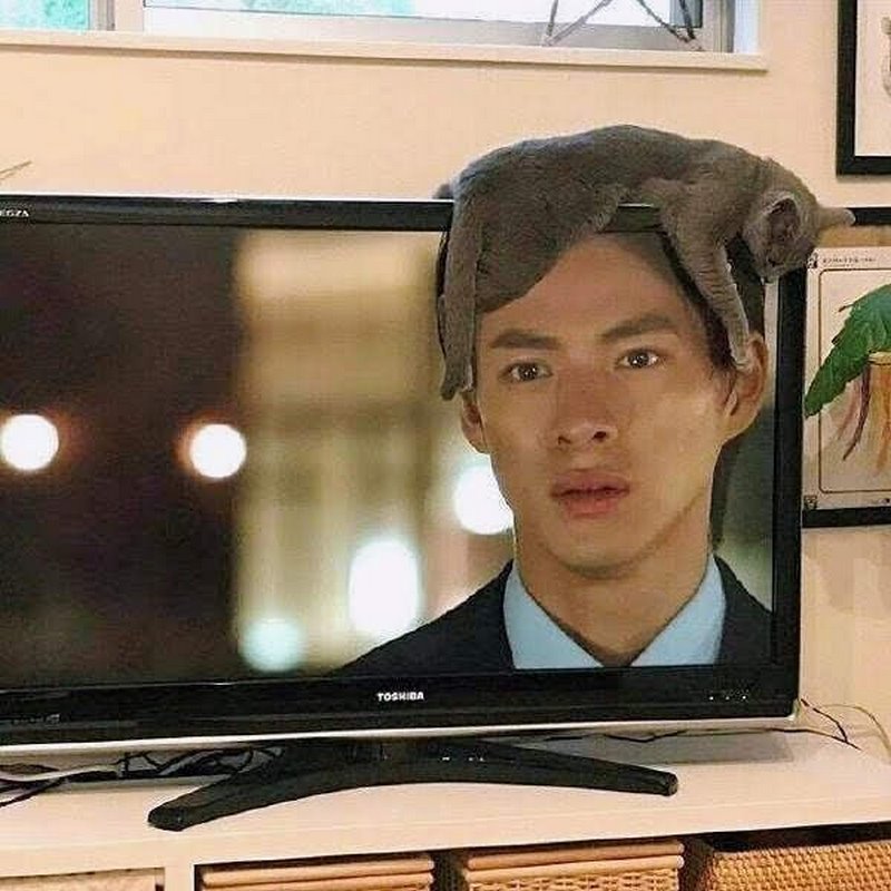 Фотографии которые вынесут мозг
