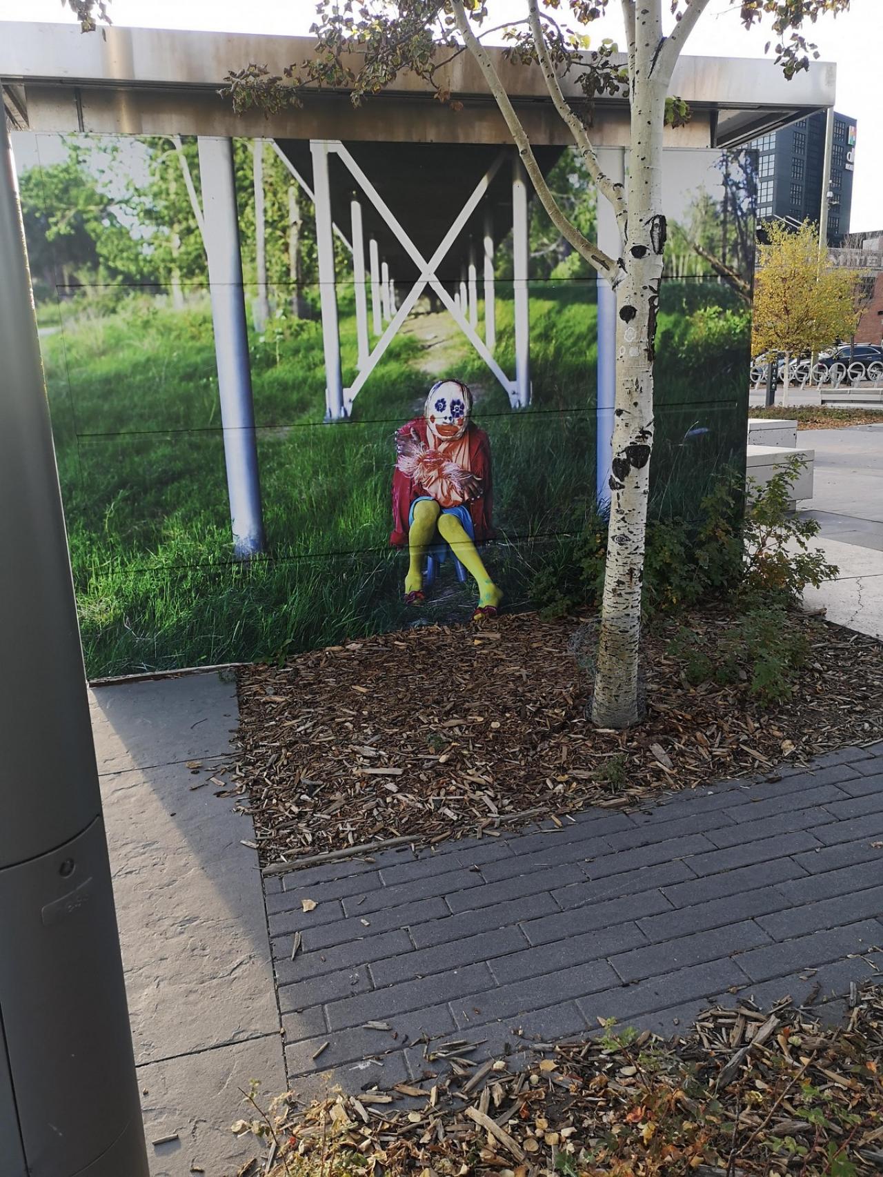 WTF: что тут происходит?