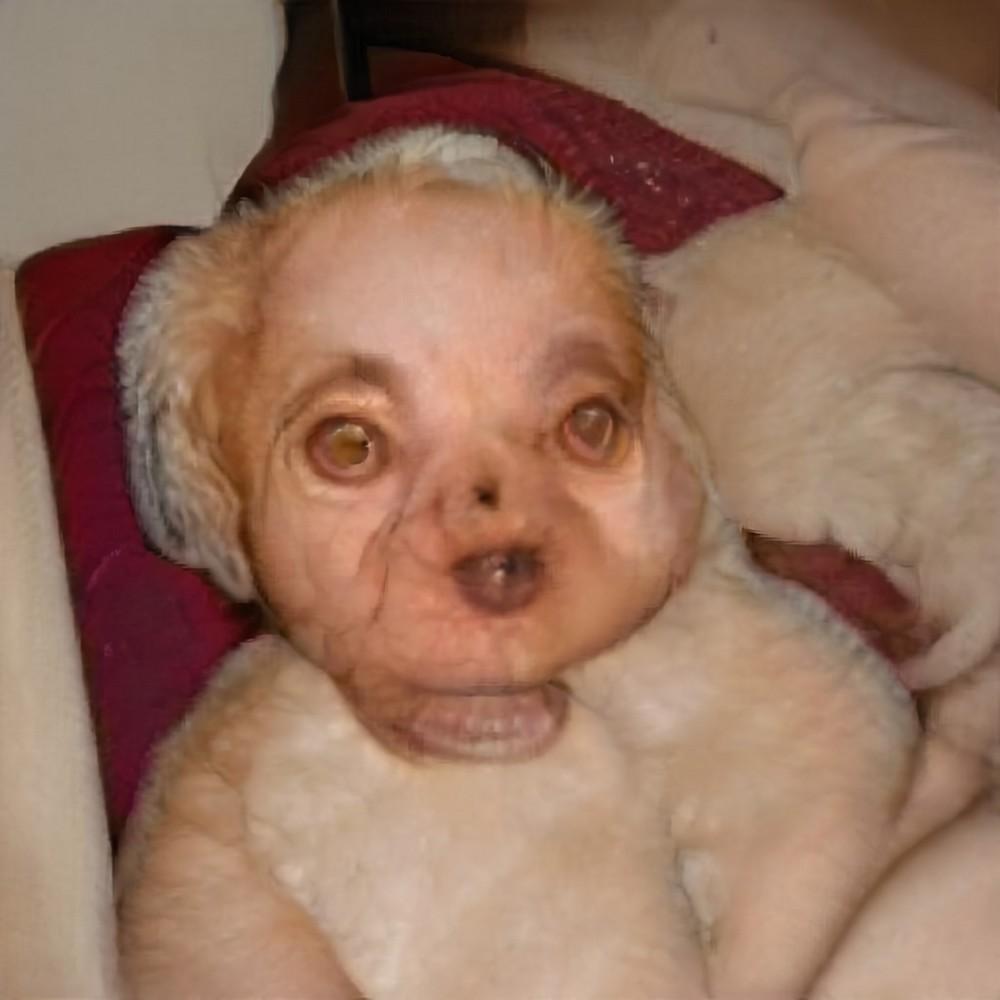 WTF: что тут происходит?